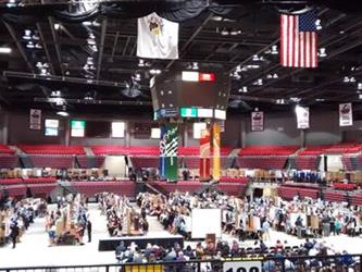 Illinois State Science Fair, Celtics Excel